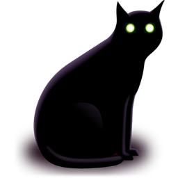 image of a black cat